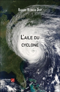 Image de L'aile du cyclone