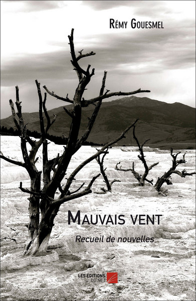 Picture of Mauvais vent