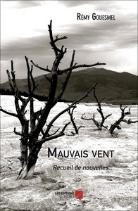 Picture of Mauvais vent