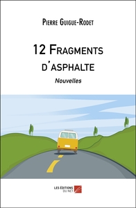 Image de 12 Fragments d'asphalte
