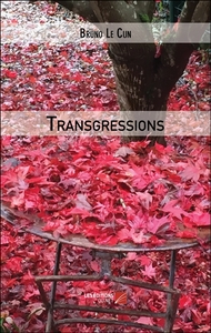 Image de Transgressions