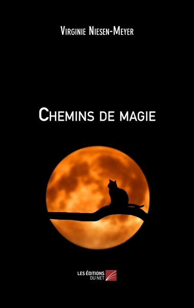 Image de Chemins de magie