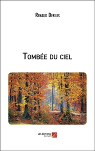 Image de Tombée du ciel