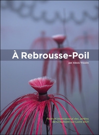 Picture of À Rebrousse-Poil