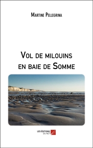 Image de Vol de milouins en baie de Somme