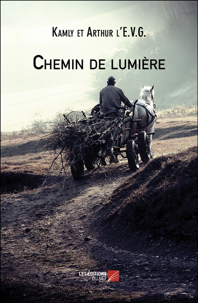 Picture of Chemin de lumière