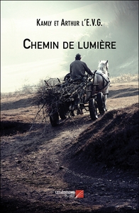 Picture of Chemin de lumière