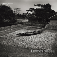 Image de Larmes salées