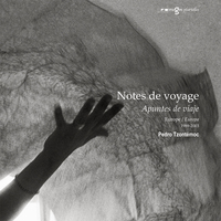Image de Notes de voyages