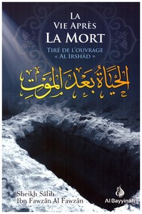 Image de LA VIE APRèS LA MORT (TIRé D'A