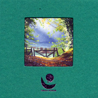 Picture of VERS LA LUMIERE