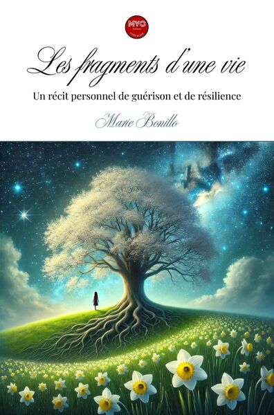 Picture of Les fragments d'une vie