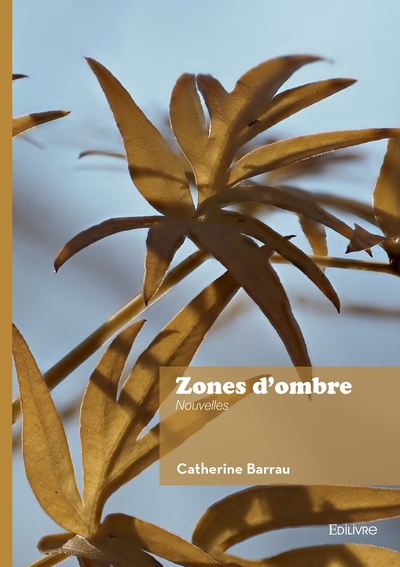 Image de Zones d'ombre