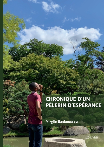 Image de Chronique d'un pèlerin d'espérance