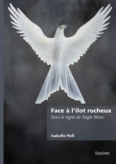 Picture of Face à l'îlot rocheux