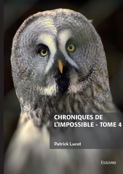Image de Chroniques de l'impossible - tome 4