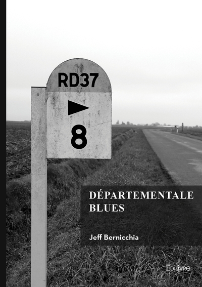 Picture of Départementale blues