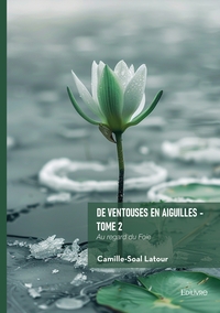 Picture of De ventouses en aiguilles - Tome 2