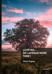 Image de Le réveil de l'Afrique noire - Tome 1