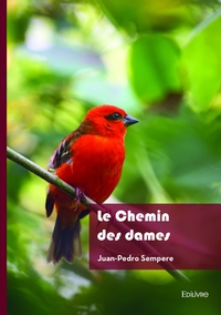 Picture of Le Chemin des dames