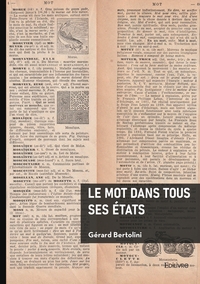 Image de Le mot dans tous ses états