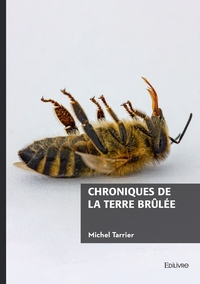 Image de Chroniques de la terre brûlée
