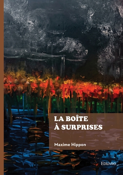 Picture of La boîte à surprises