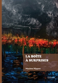 Picture of La boîte à surprises