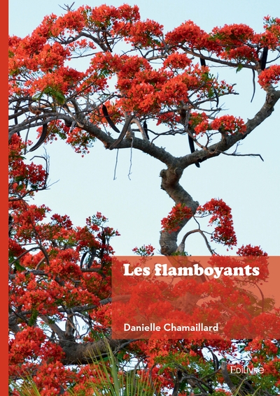 Picture of Les flamboyants