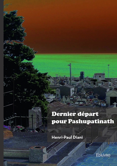 Image de Dernier départ pour Pashupatinath