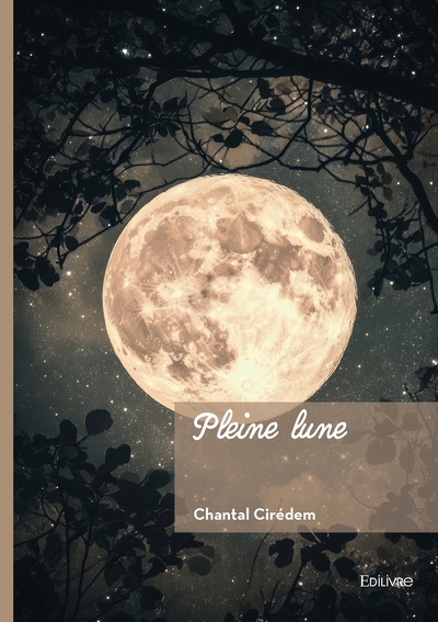 Picture of Pleine lune