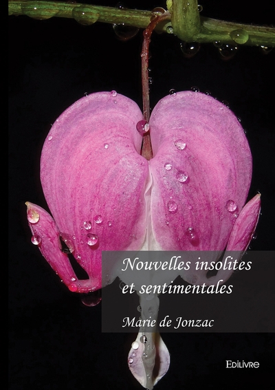 Image de Nouvelles insolites et sentimentales