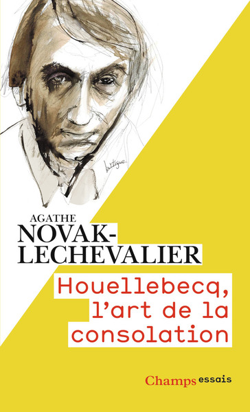 Picture of Houellebecq, l'art de la consolation