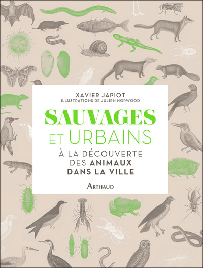Image de Sauvages et urbains