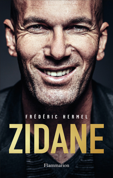 Picture of Zidane