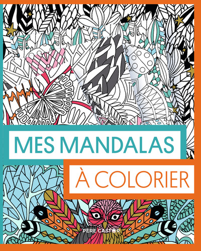 Image de Les pochettes du Père Castor - Mes mandalas à colorier