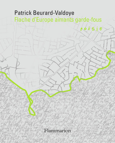 Image de Flache d'Europe aimants garde-fous