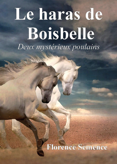 Picture of Le haras de Boisbelle