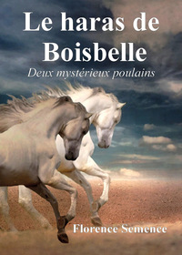 Picture of Le haras de Boisbelle