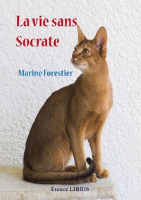 Picture of La vie sans Socrate