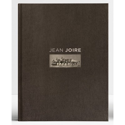 Picture of Jean JOIRE. Catalogue critique de l’œuvre sculpté.