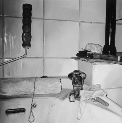 Picture of James White: Paintings /anglais