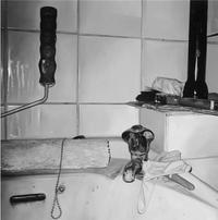 Picture of James White: Paintings /anglais