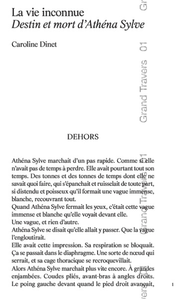 Image de La vie inconnue Destin et mort d'Athéna Sylve