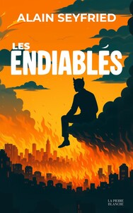 Image de LES ENDIABLES