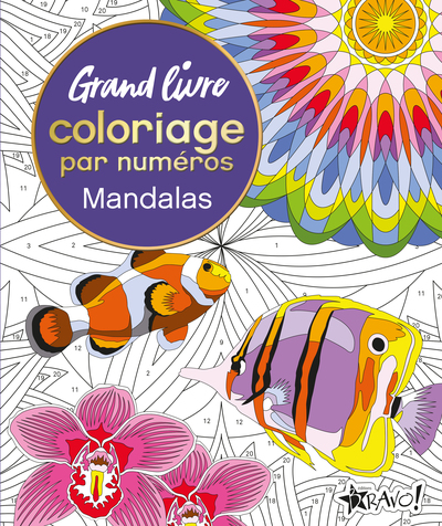 Image de Grand livre coloriage par numéros - Mandalas