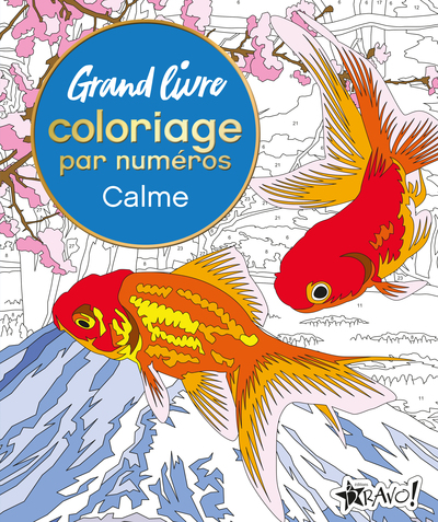 Image de Grand livre coloriage par numéros - Calme