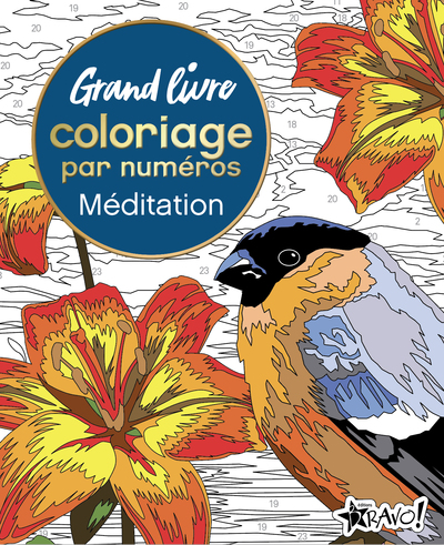 Image de Grand livre coloriage par numéros - Méditation