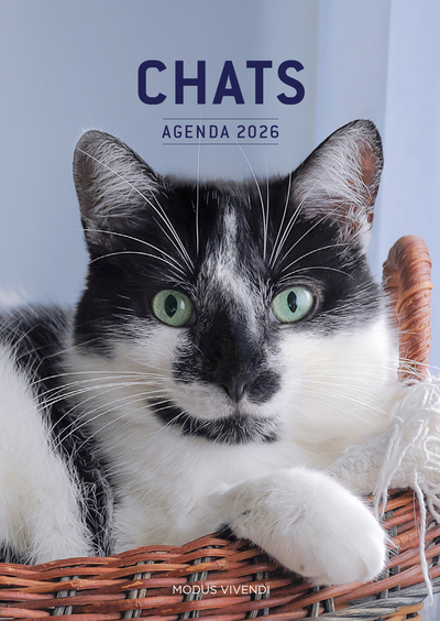 Image de Chats - Agenda 2026