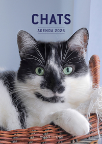 Image de Chats - Agenda 2026